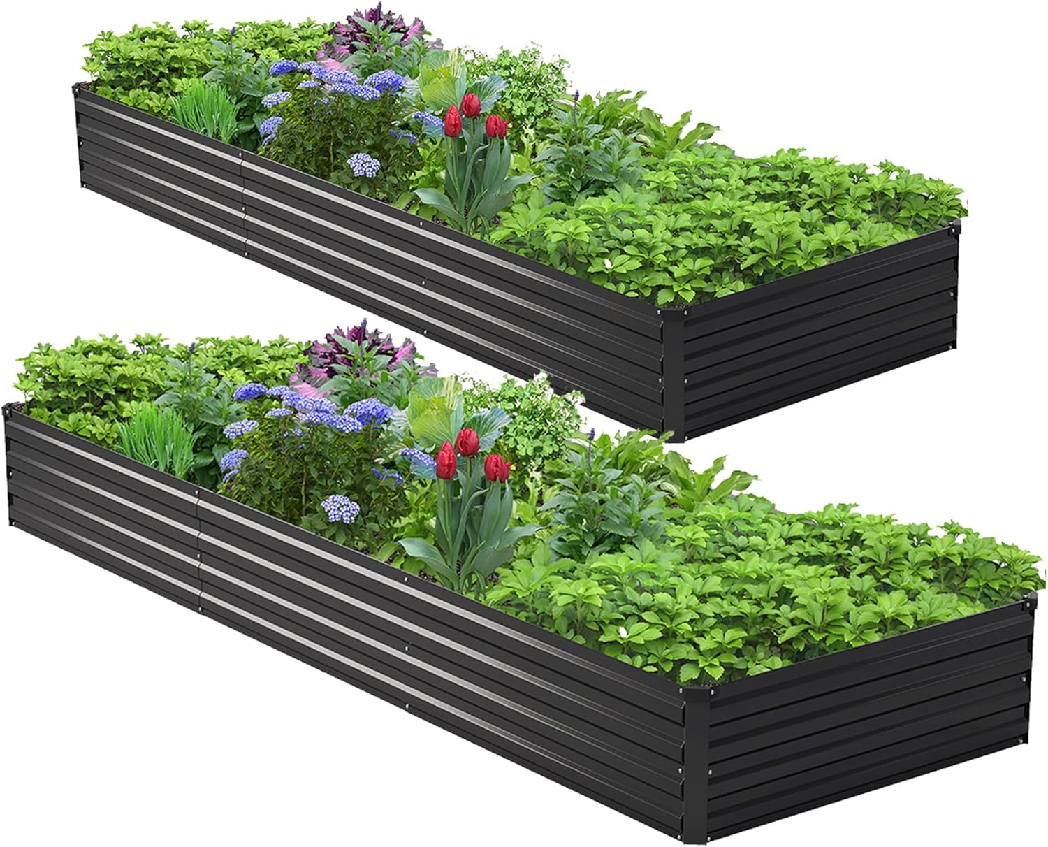 2個セット 10x3x1フィート 亜鉛メッキ仕上げの高床式菜 - Planter Raised Metal のレビューと価格