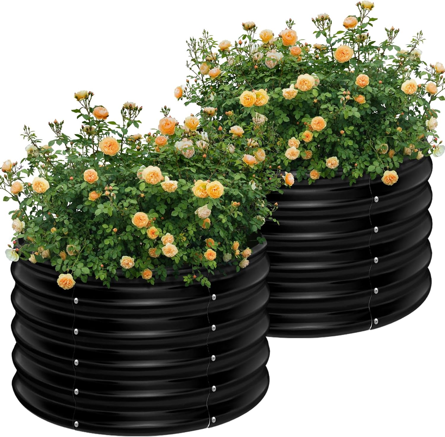 2パック 2x2x1.5フィート 丸型亜鉛メッキ上げ底菜園用 - Planter Raised Metal のレビューと価格